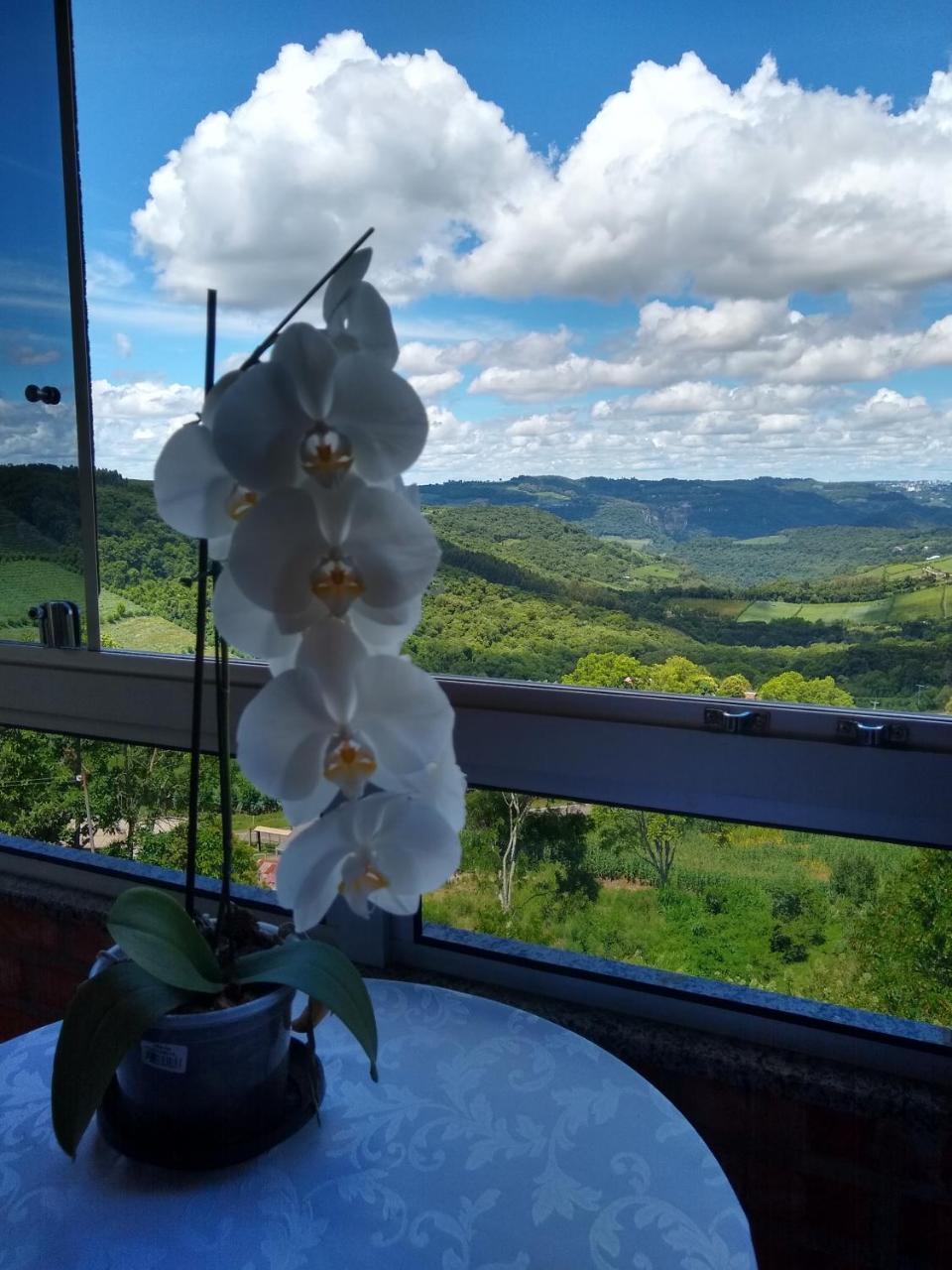Monte Belo dol Sul Casa Temporada Monte Belo Do Sulヴィラ エクステリア 写真